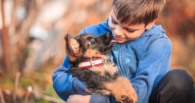 National study seeking owners who have acquired a puppy since 2019